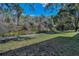 Lush backyard area with green grass, mature trees, and a walking path at 1182 Pine Ridge W Cir # B1, Tarpon Springs, FL 34688