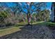 A large tree is in the yard of this building at 1182 Pine Ridge W Cir # B1, Tarpon Springs, FL 34688