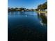 Scenic view of a tranquil pond with a fountain, surrounded by residential buildings at 1182 Pine Ridge W Cir # B1, Tarpon Springs, FL 34688