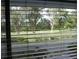 Window view showcasing lush greenery and a serene outdoor landscape at 1345 Drew St # 5, Clearwater, FL 33755