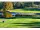 Scenic golf course view, a water feature, and two golfers at 3497 Birchwood Ct, Palm Harbor, FL 34684