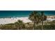 Beautiful beach scene with palm trees, blue water, and people relaxing on the sand at 4450 Gulf Blvd # 303, St Pete Beach, FL 33706
