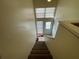 Carpeted staircase leading to the upper level of the home at 5034 Terrace Village Ln, Tampa, FL 33617