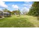 Expansive backyard with lush green grass, mature trees, and a screened-in lanai, perfect for outdoor activities at 30 Stanton Cir, Oldsmar, FL 34677