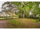 Expansive backyard with lush greenery, mature trees, and plenty of space for outdoor activities at 3425 E Powhatan Ave, Tampa, FL 33610