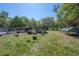 Expansive yard with varied trees and small structures at 4814 Knights Loop, Plant City, FL 33565