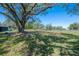 Sprawling backyard with majestic trees at 4814 Knights Loop, Plant City, FL 33565