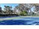 Well-maintained tennis courts with neatly painted lines and surrounded by mature trees at 5839 Garden Lakes Dr, Bradenton, FL 34203