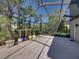 Expansive screened-in pool patio with a vibrant array of potted plants and green foliage at 6107 Ibispark Dr, Lithia, FL 33547