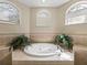 Inviting tub area with tile surround, dual windows, and lush plants creates a tranquil and luxurious space at 6107 Ibispark Dr, Lithia, FL 33547