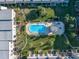 Overhead view of a community pool with lounge chairs surrounded by lush landscaping and multi-story condo buildings at 8681 Bardmoor Blvd # 208C, Seminole, FL 33777