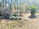 Landscaping with mature trees and flowering plants enhance the natural setting at 9377 Preston Rd, Brooksville, FL 34601