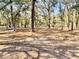 Lot offering a park like setting with mature trees at 9377 Preston Rd, Brooksville, FL 34601