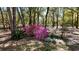 Front yard of a home with trees and azaleas at 9377 Preston Rd, Brooksville, FL 34601