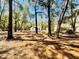 Tree covered property with home in the background at 9377 Preston Rd, Brooksville, FL 34601