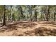 This is a beautiful yard with trees and leaves at 9377 Preston Rd, Brooksville, FL 34601