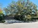 Charming single-story home featuring mature landscaping, a spacious driveway, and a large shade tree at 16209 Belle Meade Blvd, Odessa, FL 33556