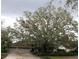Traditional home featuring a 3-car garage, lush landscaping, and a large tree in the front yard at 16209 Belle Meade Blvd, Odessa, FL 33556