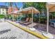 Shaded poolside lounges offer a relaxing retreat with lush landscaping, comfortable seating, and a serene atmosphere at 2402 W Azeele St # 423, Tampa, FL 33609
