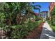 Pathway flanked by vibrant tropical plants and mulch beds, leading to residential buildings and amenities at 2402 W Azeele St # 423, Tampa, FL 33609