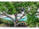 Backyard pool and spa surrounded by lush greenery at 3211 W Swann Ave # 502, Tampa, FL 33609