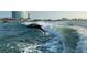 Scenic ocean view with dolphins leaping out of the surf and tall buildings in the background at 450 S Gulfview Blvd # 605, Clearwater Beach, FL 33767