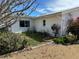 Landscaped area with mature trees and shrubs near the house with visible windows at 701 64Th Ave, St Pete Beach, FL 33706