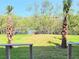 Backyard view with a lush green lawn and tropical palm trees at 9914 Indian Key Trl # 32, Seminole, FL 33776