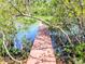 Secluded wooden dock surrounded by vibrant greenery and calm waters at 9914 Indian Key Trl # 32, Seminole, FL 33776