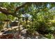 Lush backyard with mature trees, a hammock for relaxation, and a shed providing extra storage space at 1207 E Columbus Dr, Tampa, FL 33605