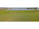Expansive green backyard leading to a peaceful pond, offering a serene and private outdoor space at 1407 Tropical Oasis Ave, Plant City, FL 33565