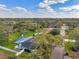 Aerial image of home with a swimming pool and green backyard at 1707 Sunnyhills Dr, Brandon, FL 33510