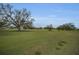 Wide-angle view of the vast grassy common area with mature trees in the community at 2430 Florentine Way # 44, Clearwater, FL 33763