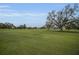 Open and grassy common area with mature shade trees in the community at 2430 Florentine Way # 44, Clearwater, FL 33763