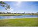Expansive backyard view with a pond and manicured lawn at 4906 Turtle Creek Trl, Oldsmar, FL 34677