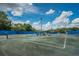 Well-maintained tennis courts with blue dividers and lighting, perfect for recreational play at 4906 Turtle Creek Trl, Oldsmar, FL 34677