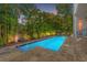Private backyard oasis with sparkling pool and lush landscaping at 4911 W Melrose S Ave, Tampa, FL 33629
