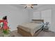 Cozy bedroom featuring a comfortable bed, two bright windows, and an attractive ceiling fan for a refreshing space at 7112 Samuel Ivy Dr, Tampa, FL 33619