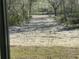 A view from a window of the long driveway at 8204 Chimney Rock Dr, Webster, FL 33597
