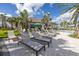 Community pool area with lounge chairs and lush palm trees in the background at 10446 Highland Park Pl, Palmetto, FL 34221