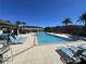 Community pool featuring lounge chairs, palm trees, and clear blue water under a sunny sky at 30045 Southwell Ln, Wesley Chapel, FL 33543