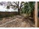 The backyard features a fence and large tree at 4162 3Rd N Ave, St Petersburg, FL 33713