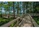 Scenic wooden boardwalk winding through lush greenery, leading to a serene waterfront view at 4324 Auston Way, Palm Harbor, FL 34685