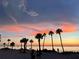 Stunning beach view at sunset with palm trees silhouetted against a vibrant, colorful sky and calm water at 1015 Coldstream Ct, Tarpon Springs, FL 34689