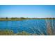 Serene lake view with clear blue water and lush green vegetation, creating a tranquil setting at 1320 Bottlebrush Dr, Bradenton, FL 34208