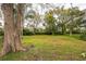 Large, grassy backyard surrounded by mature trees and lush greenery at 14333 Lake Magdalene Blvd, Tampa, FL 33618