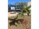 Landscaped backyard with a newly planted palm tree, patio seating area, and well-maintained lawn at 2235 20Th St S, St Petersburg, FL 33712