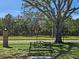 Community park bench offers a serene spot under a large tree overlooking the green space at 3934 37Th S St # 36, St Petersburg, FL 33711