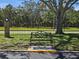 Community park bench offers a serene spot under a large tree overlooking the green space at 3934 37Th S St # 36, St Petersburg, FL 33711
