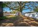 Expansive fenced backyard with mature shade tree, offering privacy and outdoor living space at 6907 N 12Th St, Tampa, FL 33604